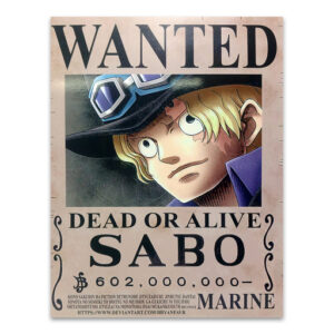 Poster One Piece